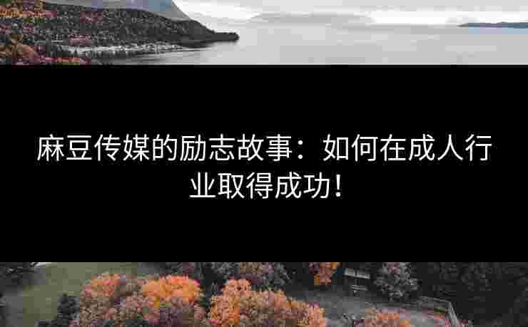 麻豆传媒的励志故事:如何在成人行业取得成功!