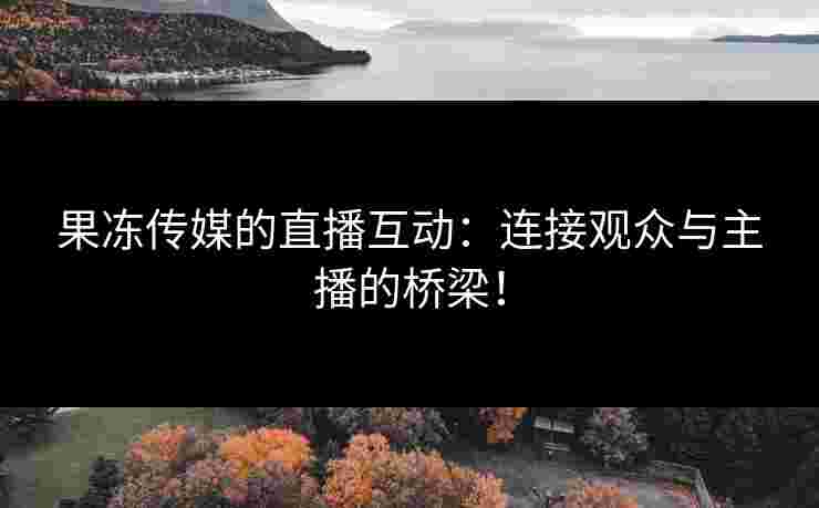果冻传媒的直播互动：连接观众与主播的桥梁！