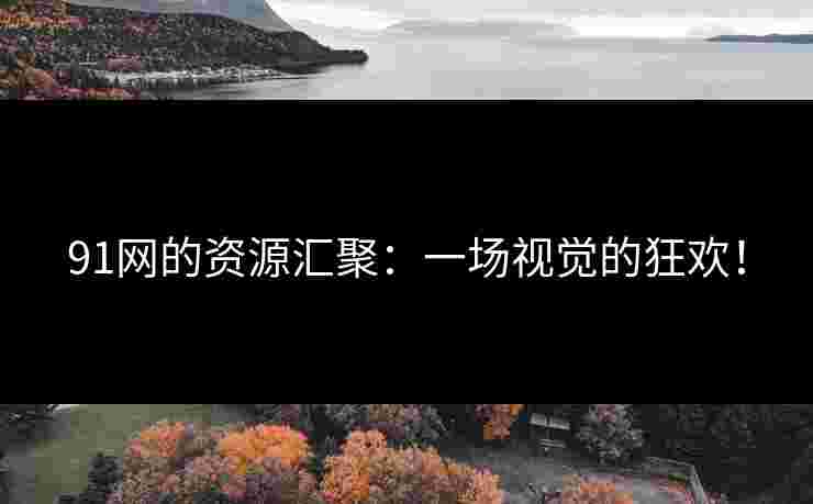 91网的资源汇聚：一场视觉的狂欢！