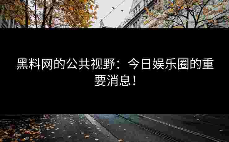 黑料网的公共视野：今日娱乐圈的重要消息！